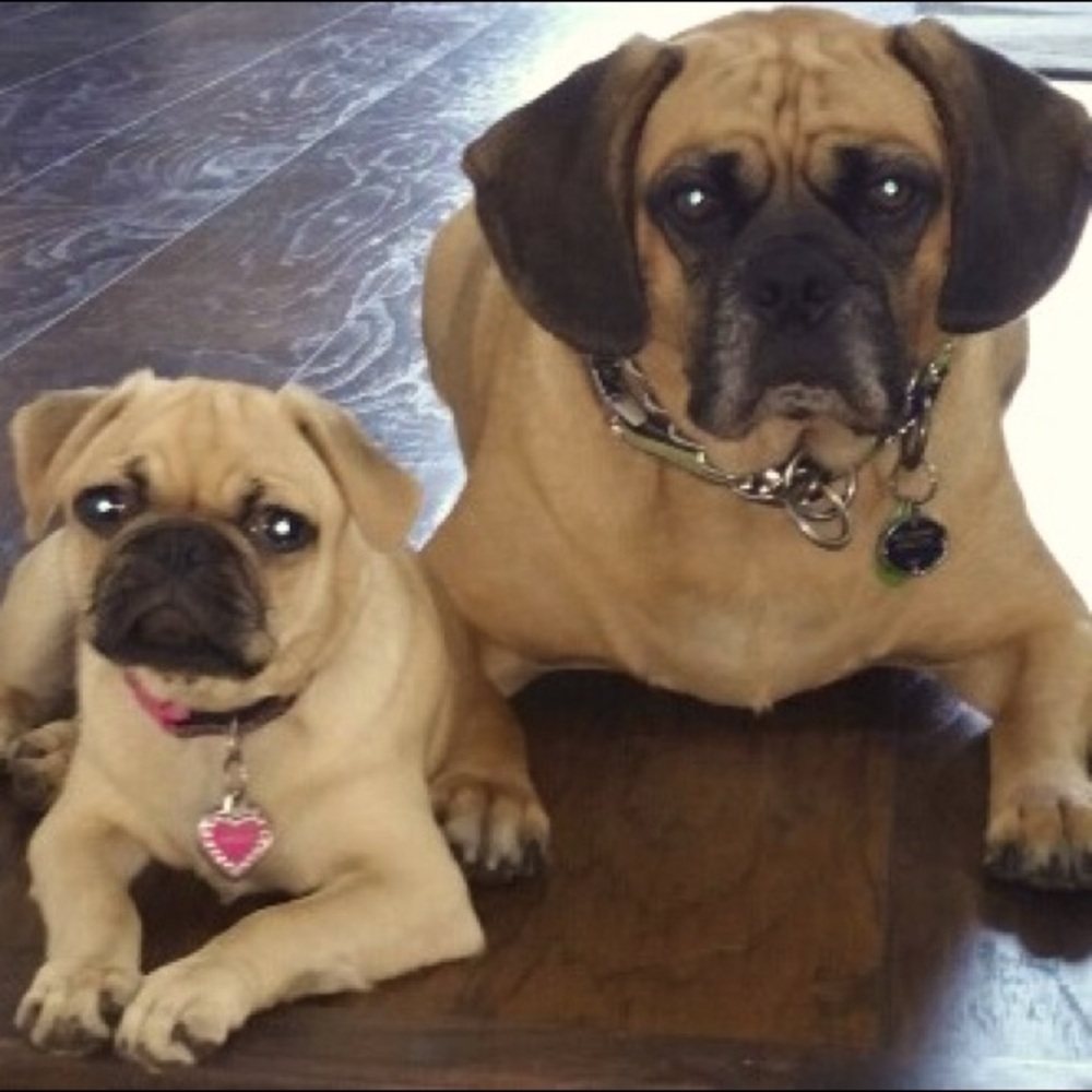 Meet your Posher, Sharon